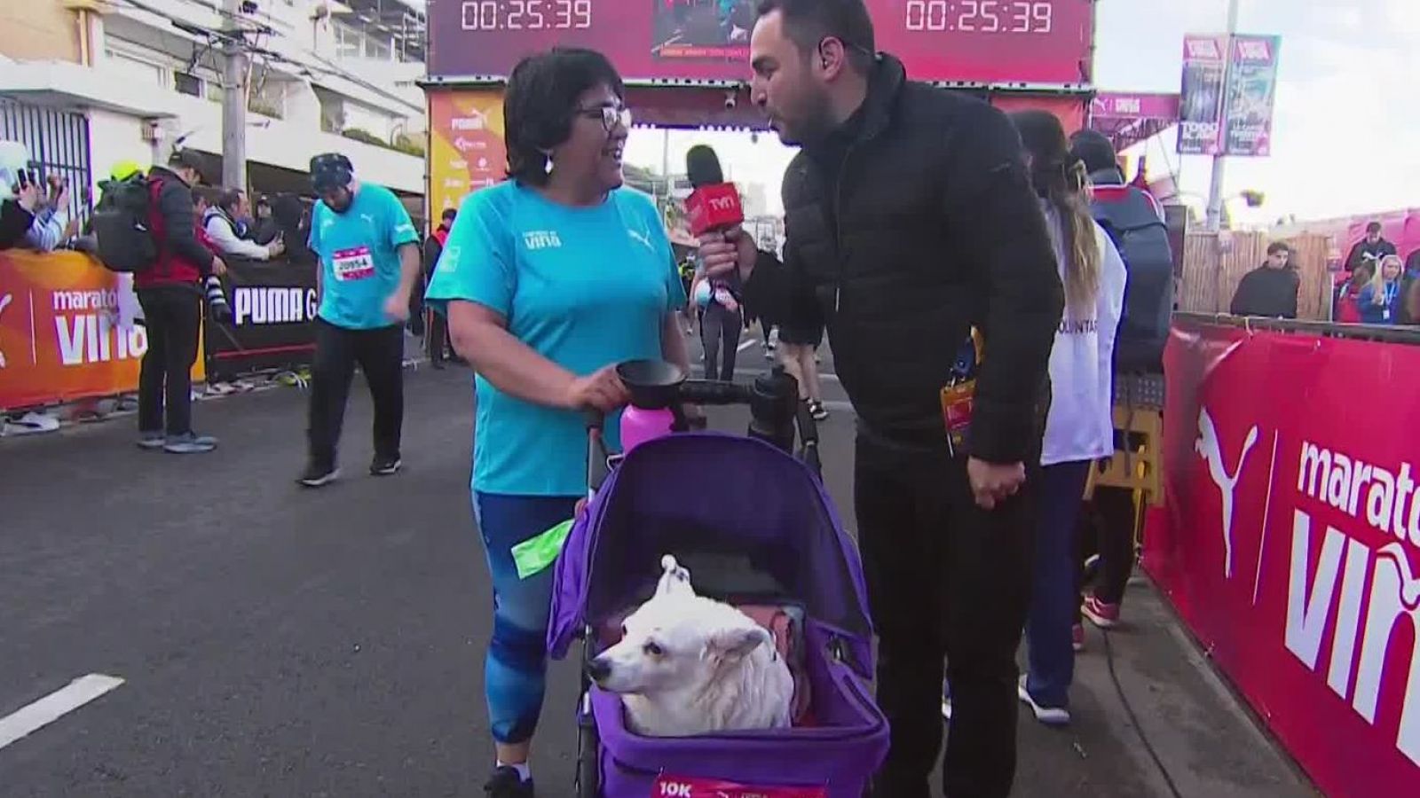 La perrita Luna conquistó los corazones al participar junto a su dueña en la Maratón de Viña
