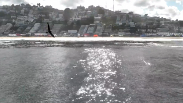 La lluvia no se quiso perder el Puma Maratón de Viña del Mar 2025
