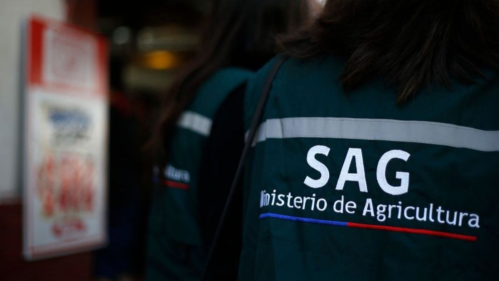 Persona de espalda con un chaleco verde del SAG, ministerio de Agricultura