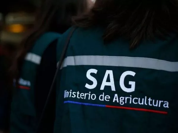 Persona de espalda con un chaleco verde del SAG, ministerio de Agricultura
