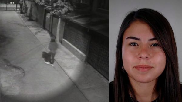 Un sospechoso, testigos y un auxilio: La misteriosa desaparición de Krishna Aguilera Yáñez en San Bernardo
