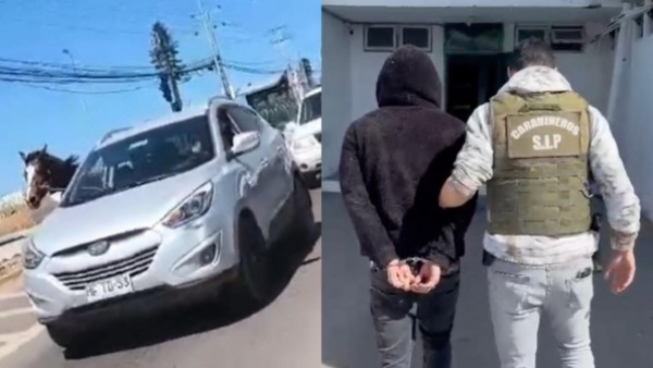Cuenta con "amplio prontuario policial": Detienen a hombre que robó y faenó a yegua en Coquimbo

