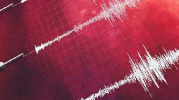 "Más ruido de movimiento": Ovallina relata el momento del temblor de esta mañana en el país
