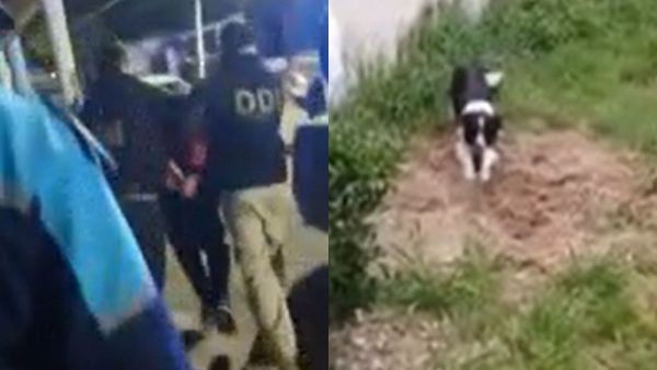 Hombre asesinó a su jefe, enterró su cuerpo y ocupó su domicilio en Argentina
