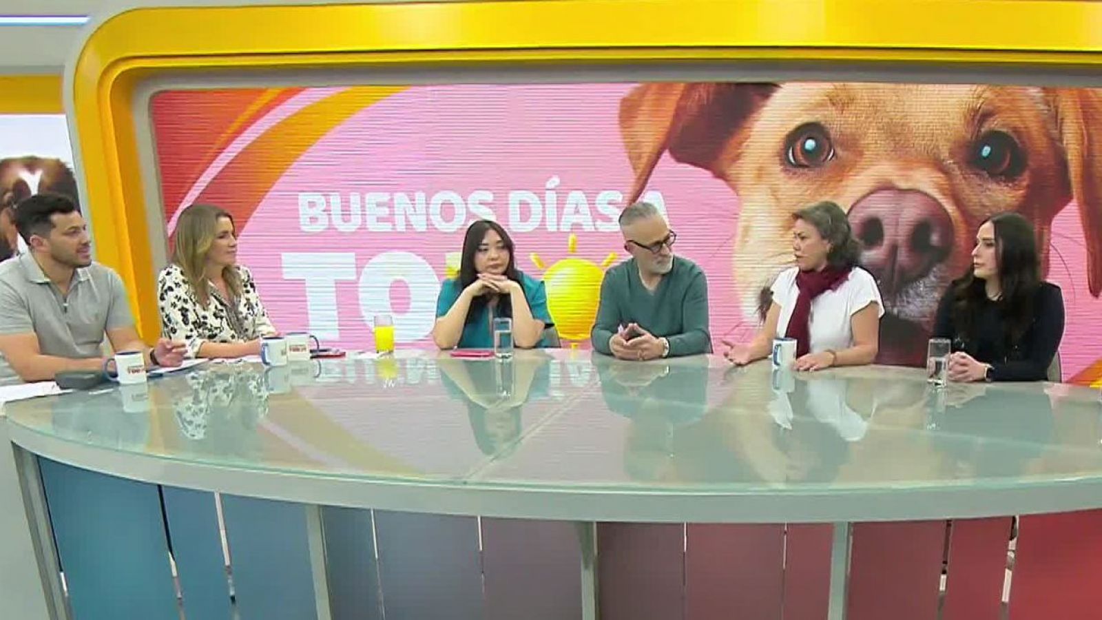 ¿Dónde puedo ir con mi mascota?
