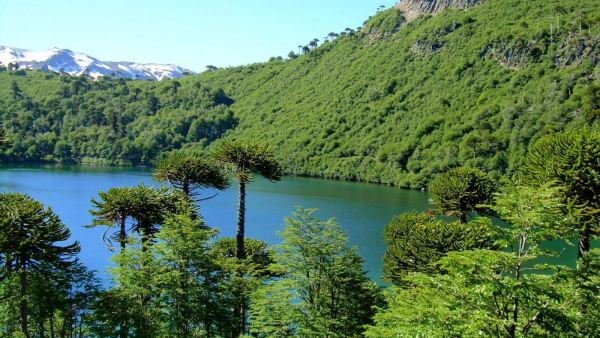 Localidad chilena entre los destacados del "Best tourism villages 2024" de la Organización Mundial del Turismo
