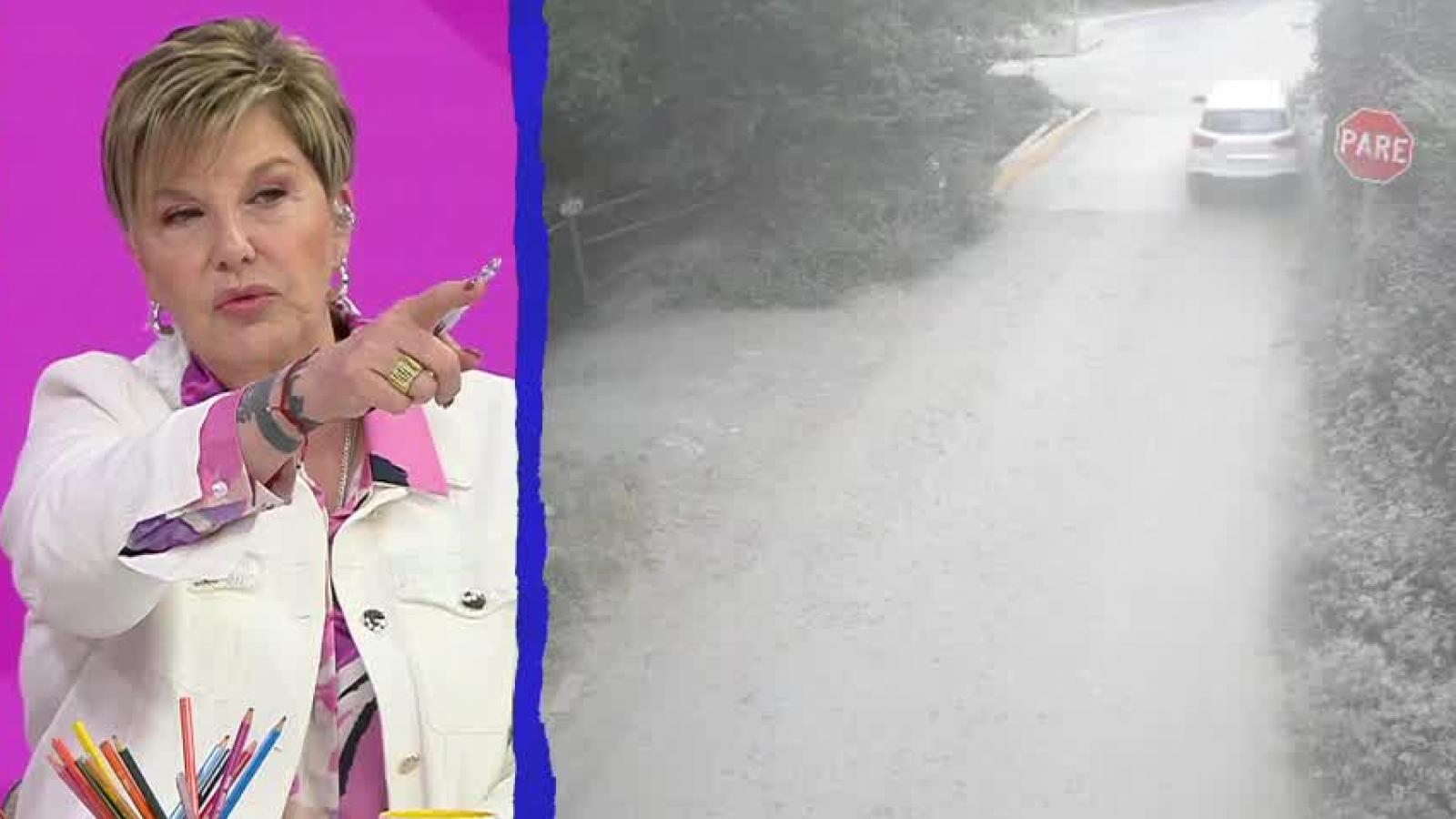 "Abrieron hasta la puerta del horno": Paulina Nin relata robo a su casa en Paine
