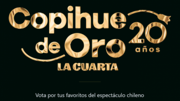 Copihue de Oro 2025: Conoce y vota por los nominados de TVN
