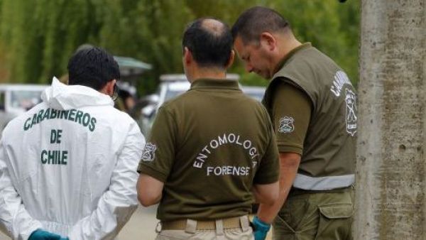 Hallazgo de cuerpos en San Vicente: confirman la detención de 9 personas
