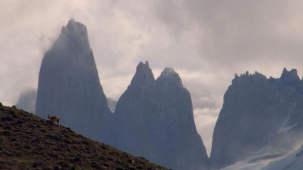 Alcaldesa de Torres del Paine indica que faltan "tres personas por empadronar" por tragedia
