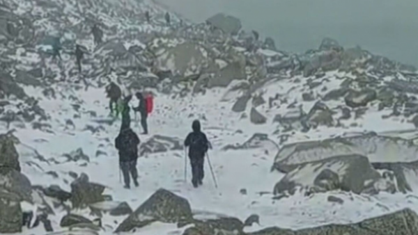 <p>Identifican a los cinco turistas fallecidos en Torres del Paine</p>Identifican a los cinco turistas fallecidos en Torres del Paine
