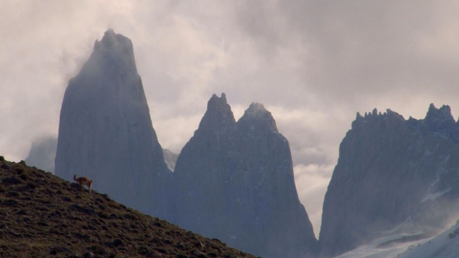 Tragedia en las Torres del Paine: Conaf responde e inicia investigación interna