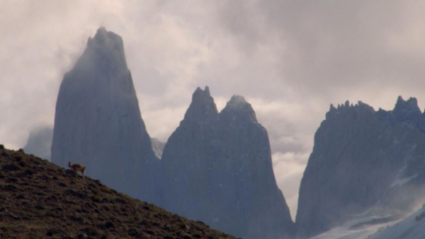 <p>Tragedia en las Torres del Paine: Conaf responde e inicia investigación interna </p>Tragedia en las Torres del Paine: Conaf anuncia investigación interna y asegura que había 51 funcionarios el día de la emergencia
