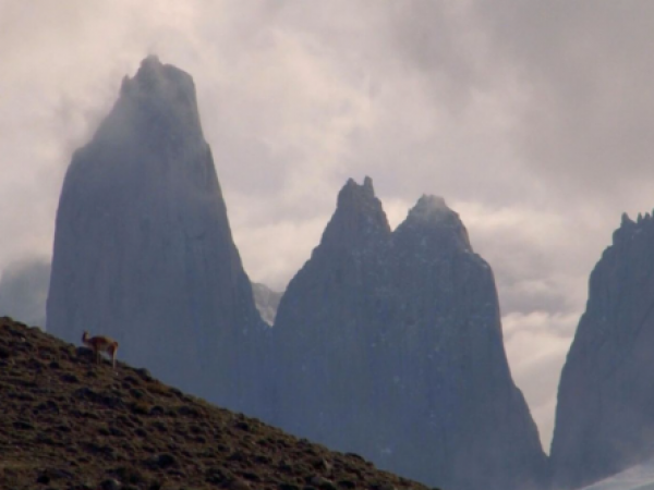 Tragedia en las Torres del Paine: Conaf responde e inicia investigación interna