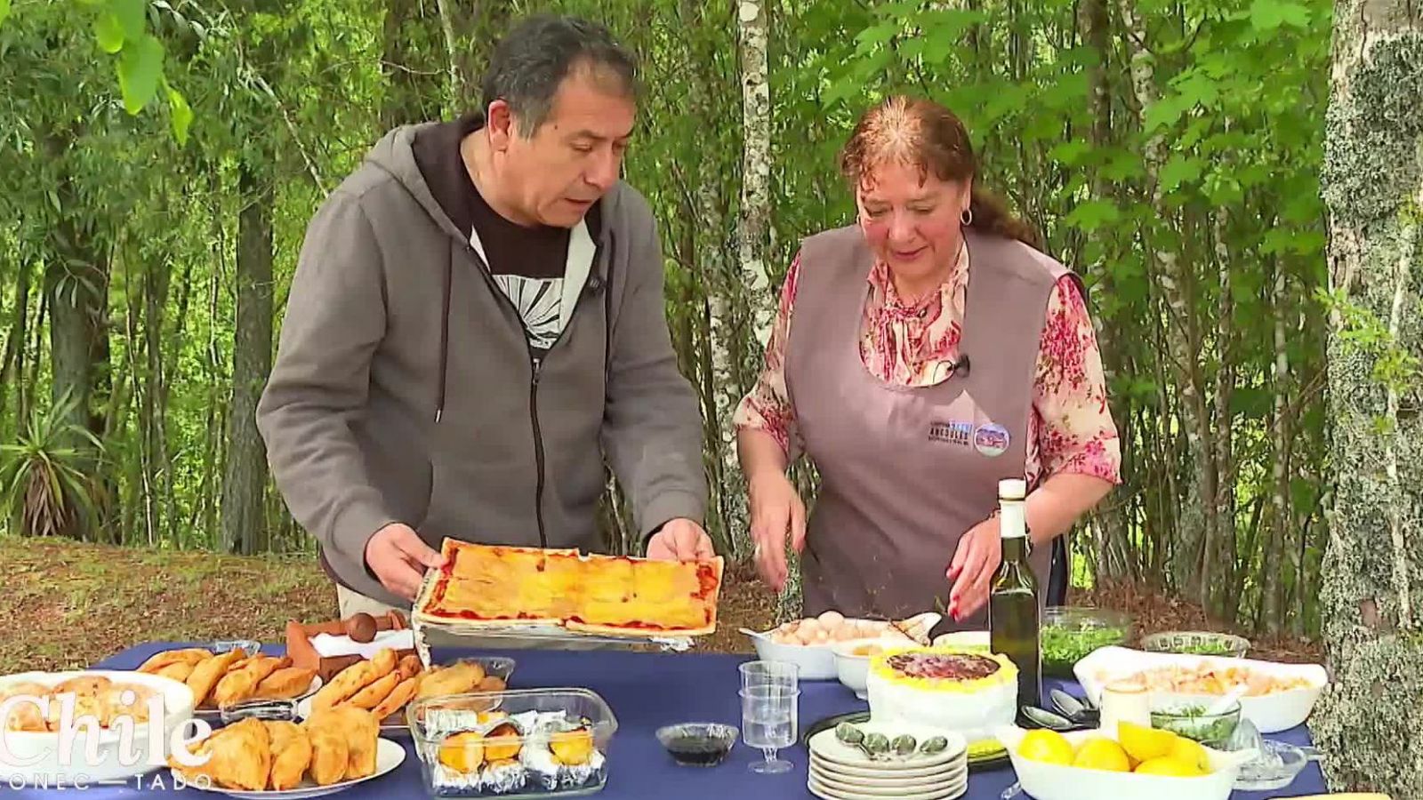 Los digüeñes: El oro blanco de la Araucanía
