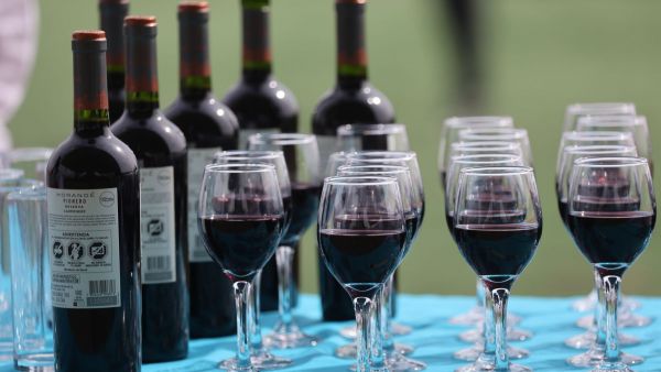 <p>Ley 18.455</p>Proyecto para declarar al vino y al pisco como bebidas nacionales es aprobado por la Cámara de Diputados

