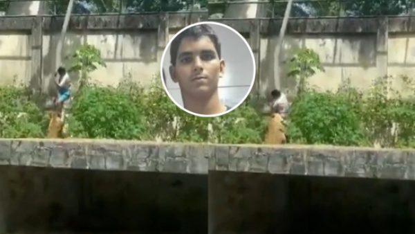 Fue atacado por una leona: joven muere tras invadir una jaula en un zoológico en Brasil