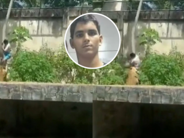 Fue atacado por una leona: joven muere tras invadir una jaula en un zoológico en Brasil