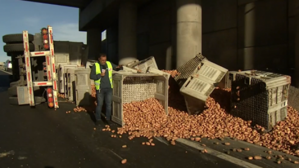<p>Accidente de camión con 18 toneladas de papas </p>¡Enorme caos vial!: Camión con 18 toneladas de papas sufre accidente en autopista
