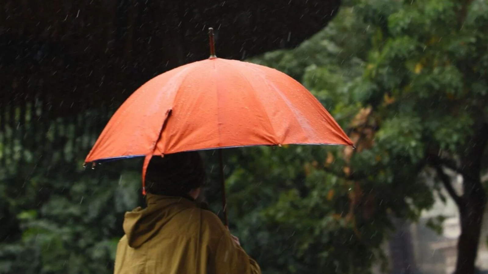 Iván Torres anticipa lluvias