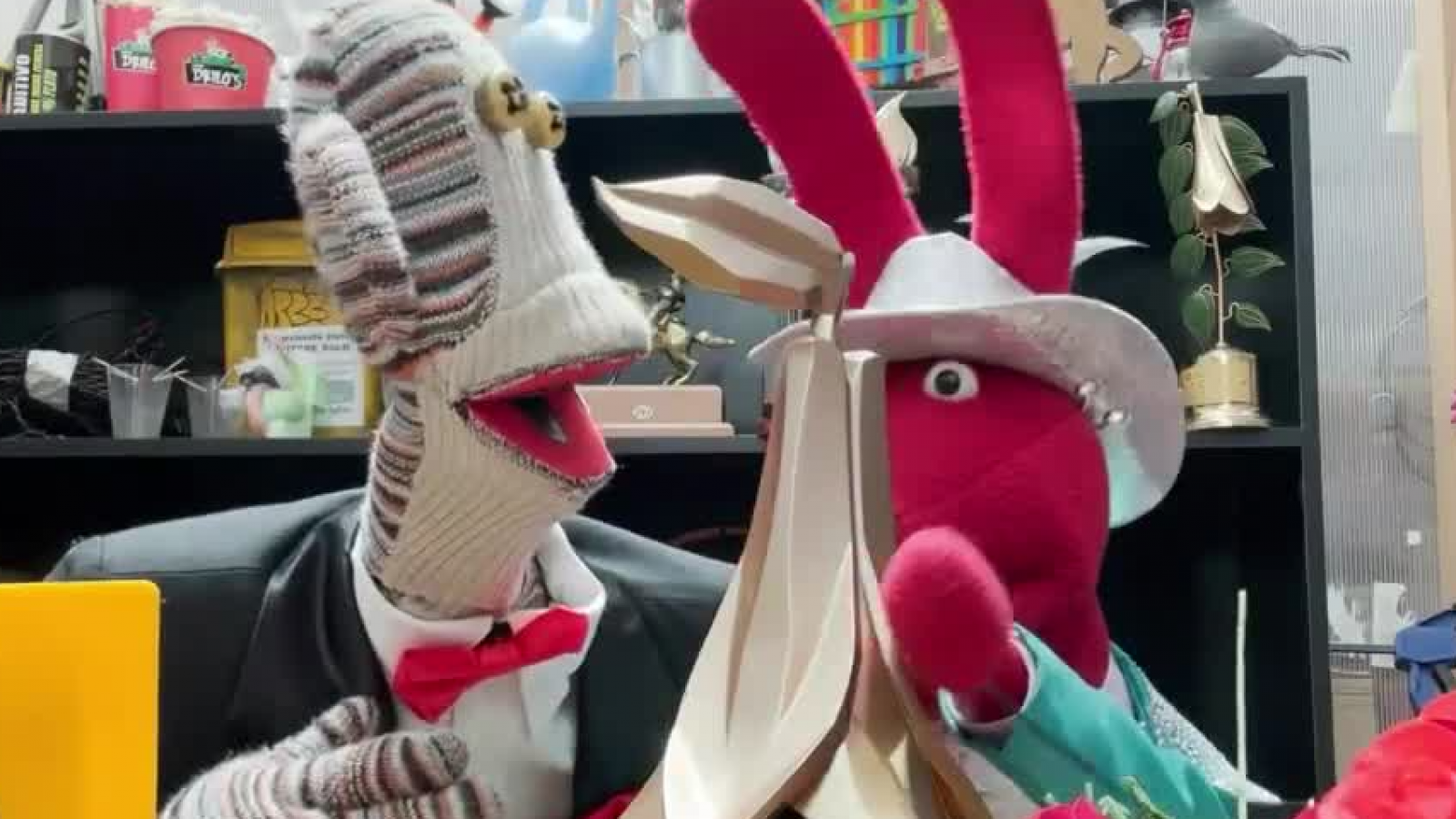 "¡Es mío! ¡me lo llevo!": la "pelea" de Tulio Triviño y Bodoque por el Copihue de Oro para 31 Minutos
