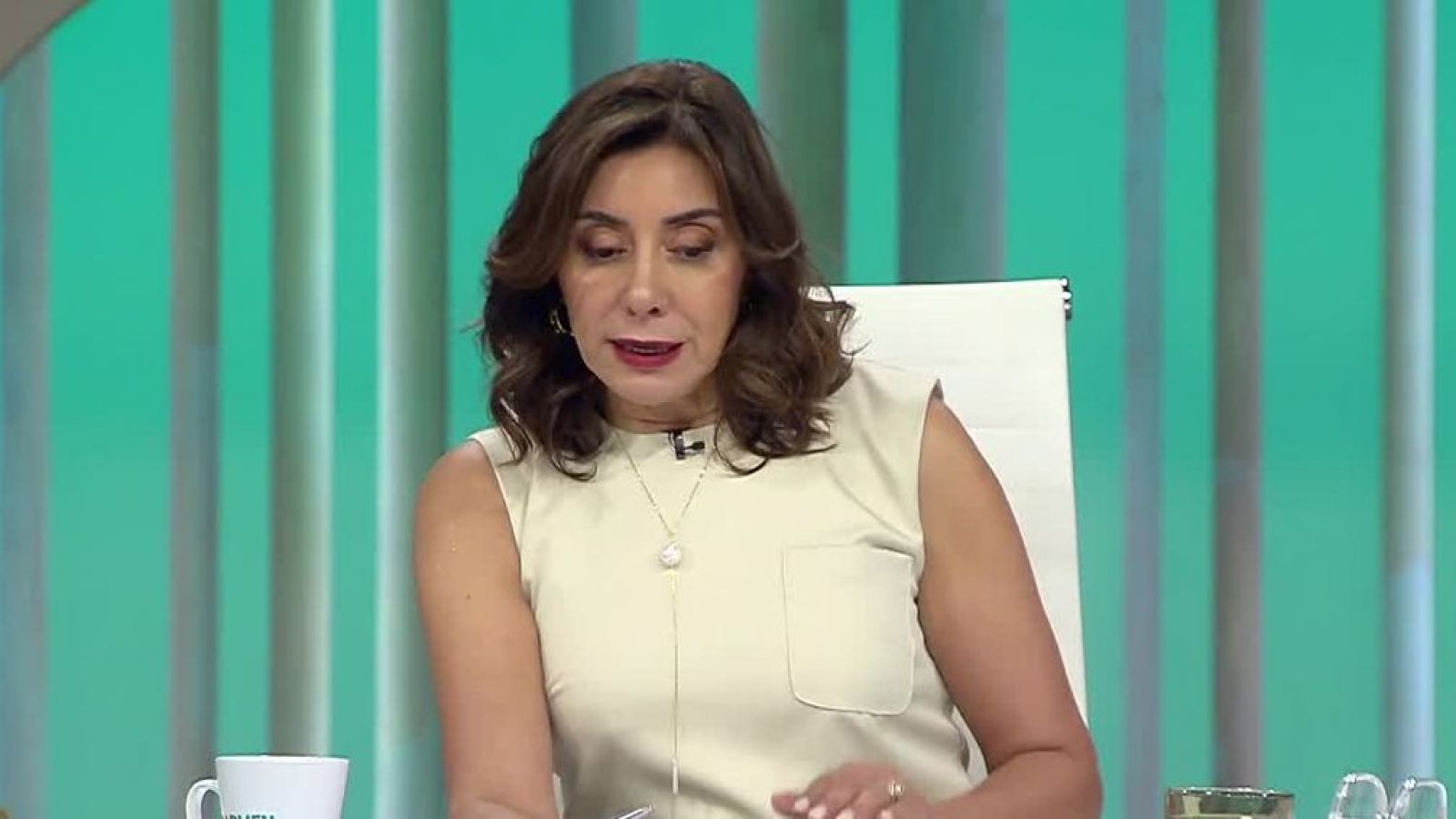 <p>Carmen Gloria a tu Servicio- Capítulo Final</p>
