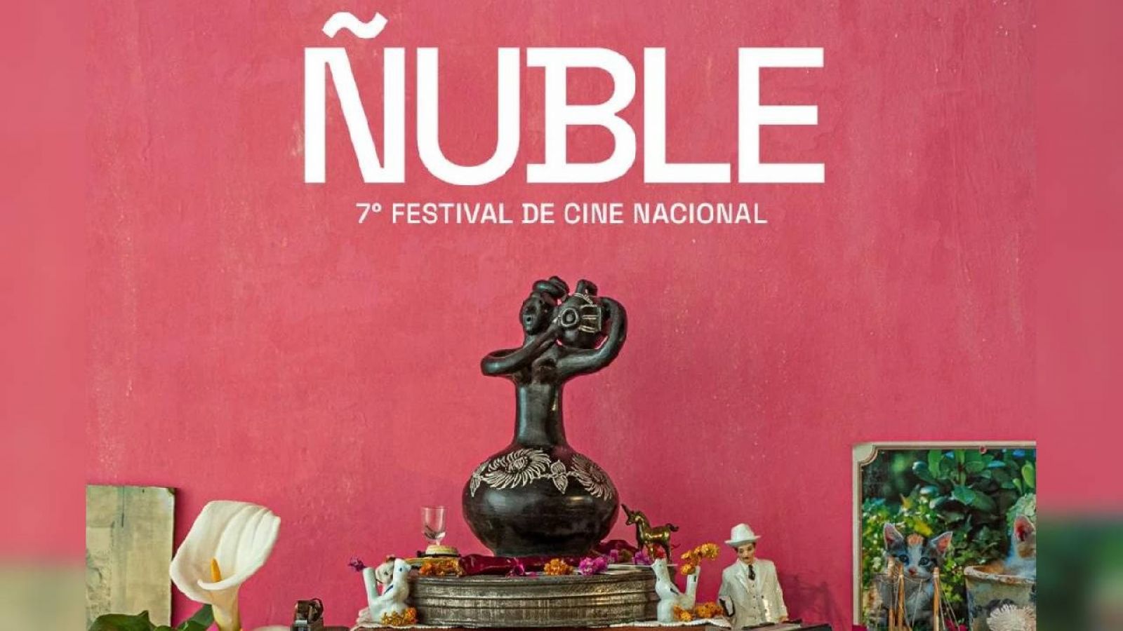 Ñuble Cine anuncia su Selección Oficial en competencia para su 7° edición