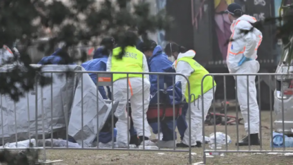 <p>Padre e hijo mataron a 15 personas en playa de Australia</p>Padre e hijo mataron a 15 personas en playa de Australia
