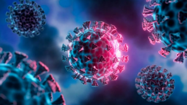 Confirman primer caso en Chile de la influenza H3N2
