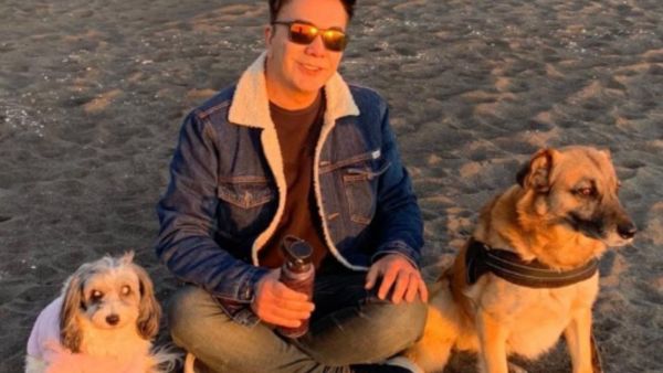 "Murió por la irresponsabilidad de personas": periodista lamenta muerte de su perro en accidente
