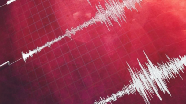 SHOA descarta tsunami en Chile tras fuerte sismo en Papúa Nueva Guinea
