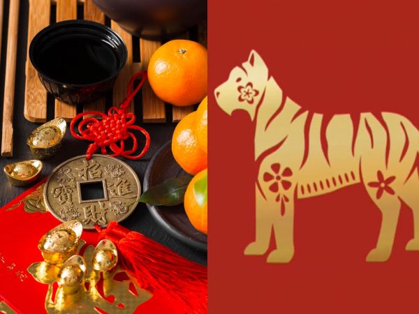 Horóscopo Chino 2026 Tigre