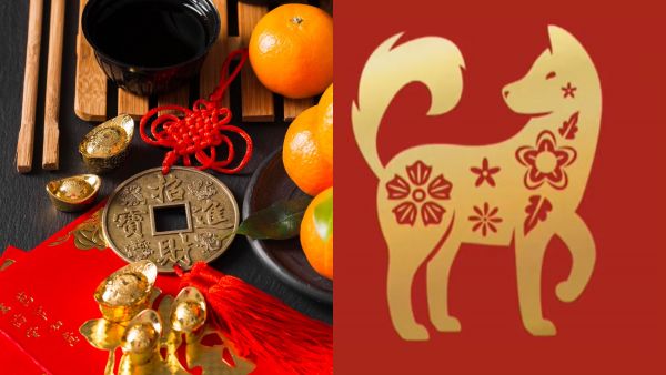 <p>Horóscopo Chino 2026 Perro</p>