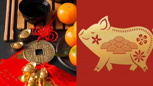 <p>Horóscopo Chino 2026 Chancho</p>