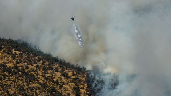 VIDEOS: reportan incendio forestal en San Carlos de Apoquindo
