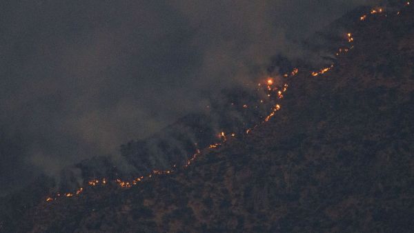 <p>incendios forestales durante la noche</p>
