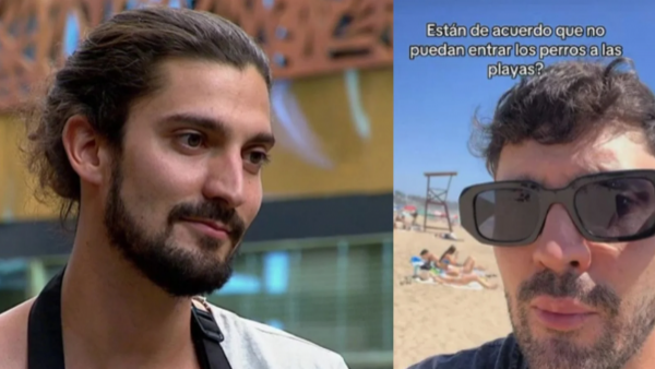 Municipio explica por qué no dejaron al "Ranty" entrar con su perrita a playa en Zapallar
