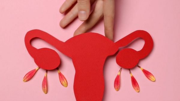 <p>Salud femenina</p>Salud femenina 2026: FDA aprueba tratamiento no hormonal para la menopausia
