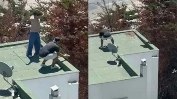 <p>Puchuncaví se querella tras detención por maltrato a polluelos de gaviotas</p>Puchuncaví se querella tras detención por maltrato a polluelos de gaviotas
