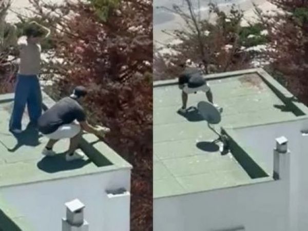 Puchuncaví se querella tras detención por maltrato a polluelos de gaviotas