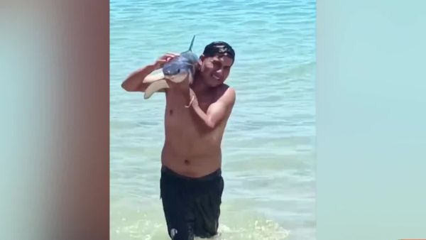 Indignante: bañistas capturan a tiburón para sacarse fotos
