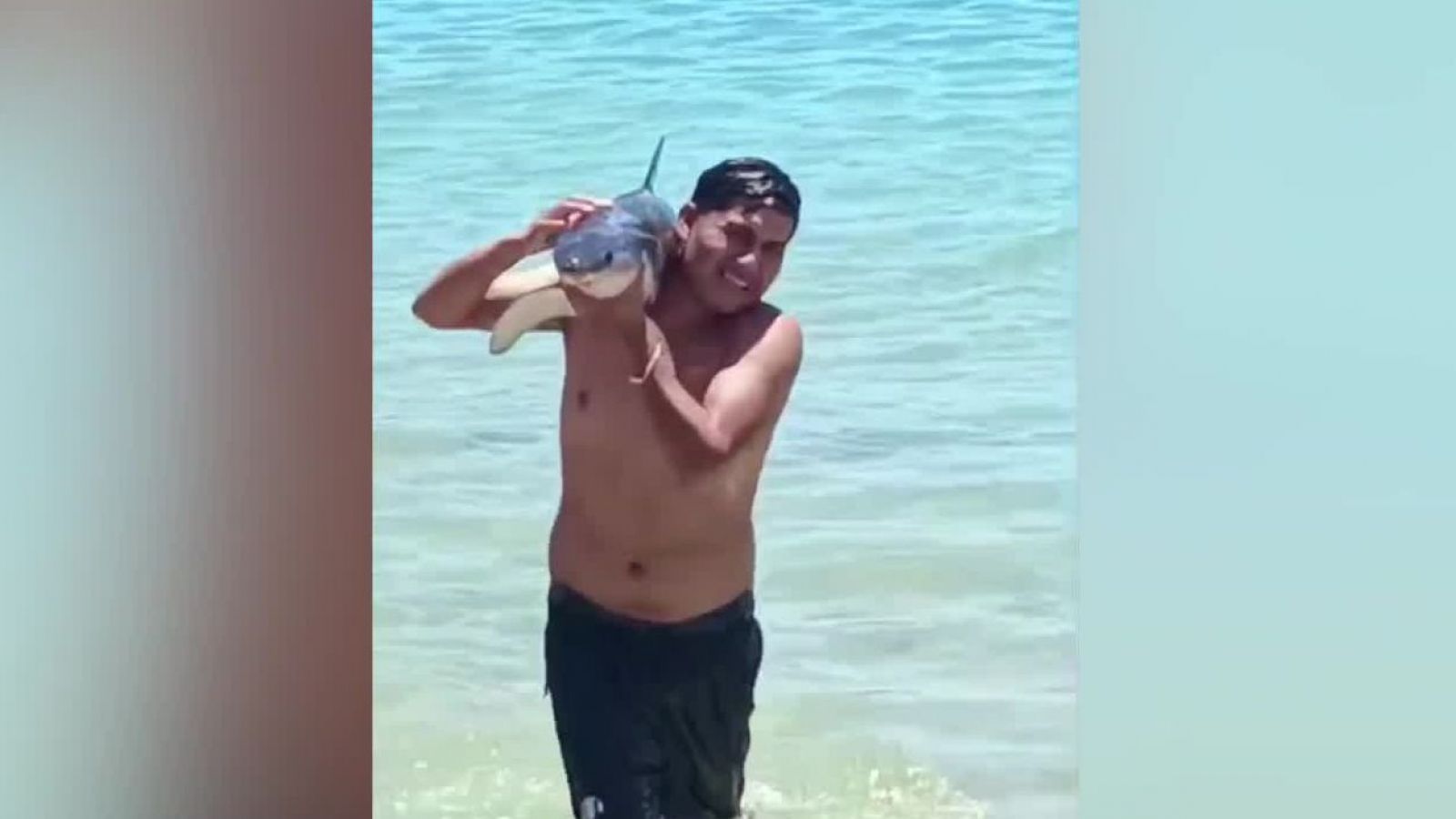 Indignante: bañistas capturan a tiburón para sacarse fotos
