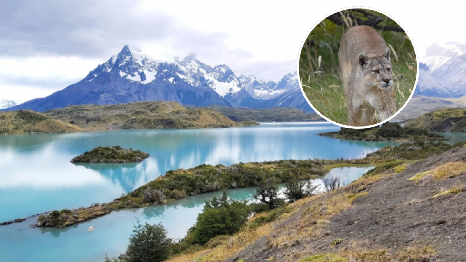 Torres del Paine despide a la histórica “Reina de la Patagonia”