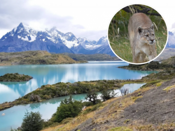 Torres del Paine despide a la histórica “Reina de la Patagonia”