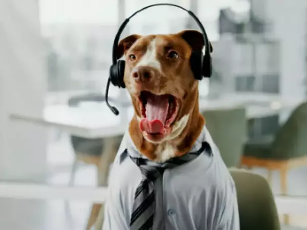 Algunos perros pueden aprender palabras al escuchar conversaciones de sus dueños, según estudio