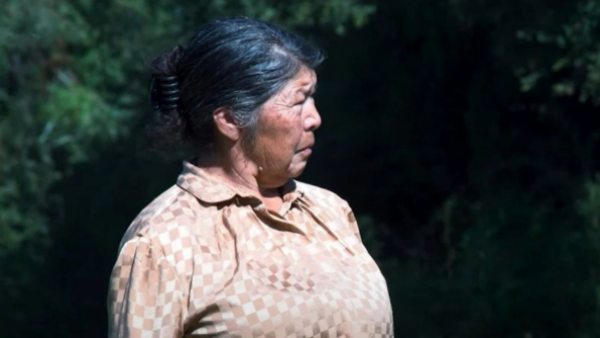 Detienen a tres hijos y exyerno de Julia Chuñil por el crimen de la dirigenta mapuche
