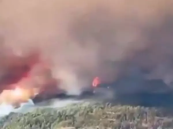 Humo de incendios en Patagonia llega a Antártica y amenaza con pérdida de hielo