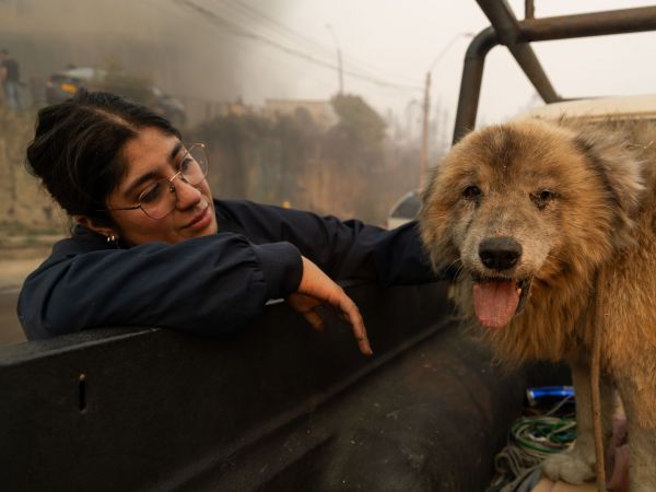 ¿Cómo ayudar? incendios