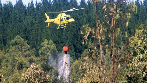 CONAF: 20 incendios forestales se mantienen en combate y bajo vigilancia
