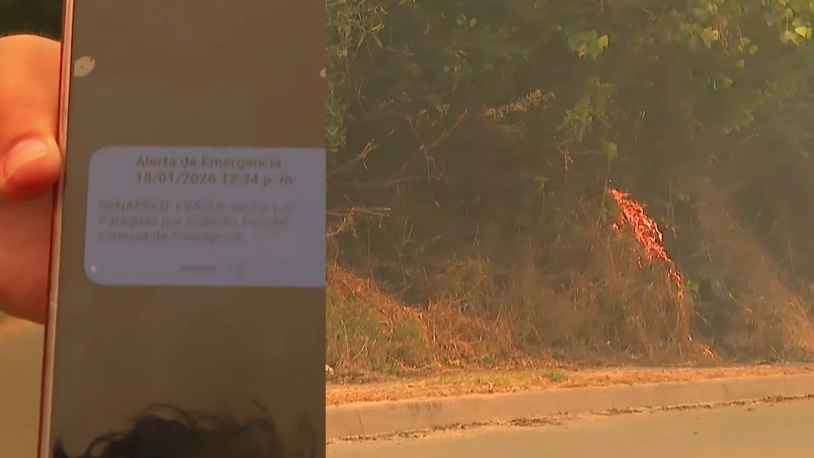 "El fuego se viene acercando...": Periodista de TVN evacúa EN VIVO al recibir alerta SAE por incendio
